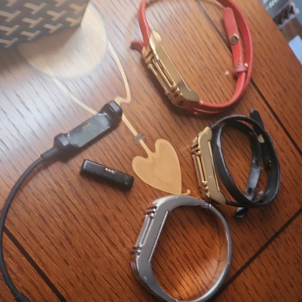 Fotbit With Charger 1 Brand New Tory Burch French Grey Braclet Plus 3 Used